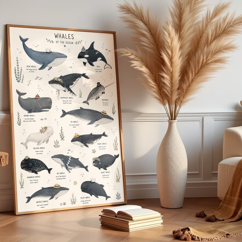 Whale Species Chart Art Print, Educational Ocean Poster, Bathroom Kids Room Decor image 7