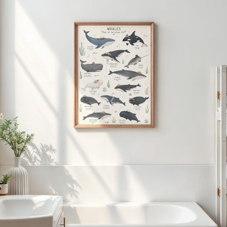 Whale Species Chart Art Print, Educational Ocean Poster, Bathroom Kids Room Decor image 2