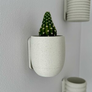May include: A white ceramic wall planter with a small cactus plant inside. The planter has a speckled texture and is mounted on a white wall.