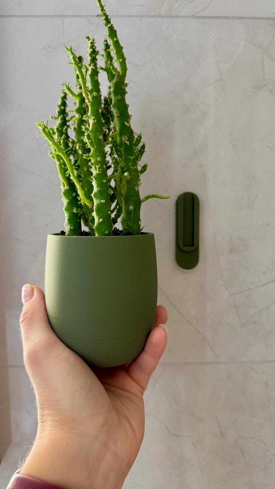 Jardinière murale avec bac d'égouttage caché - Jardinière simple