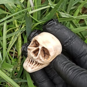 May include: A white ceramic skull with a detailed, textured surface. The skull has a wide, open mouth with visible teeth. The skull is being held in a gloved hand.