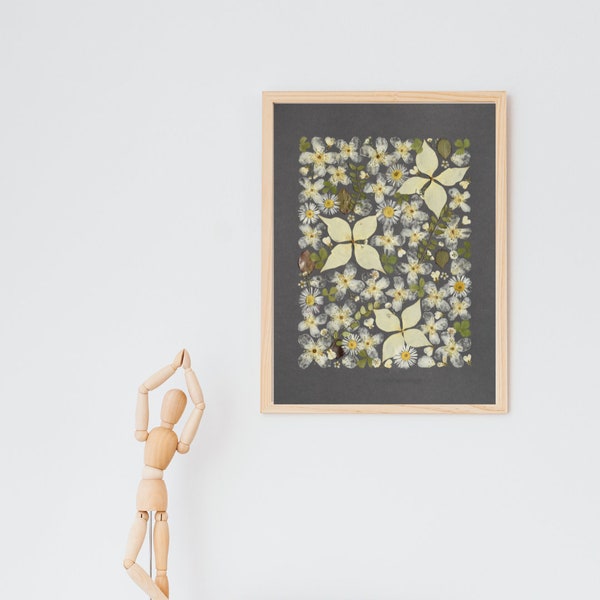 Tableau de fleurs pressées "Jardin Brumeux" - cornouiller, seringat, pâquerettes, fleur blanche, gris, vert, herbier moderne, cadeau unique