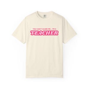 Lehrer Geschenk, Erzieher Shirt, lustiges Lehrer T-Shirt, Schulkleidung, Unisex Lehrer Top, Lehrer Wertschätzung Geschenk