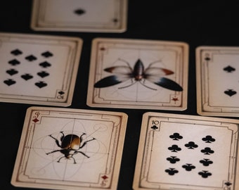 Vintage Insect Bug Playing Cards - Illustrative Poker Set Custom Deck