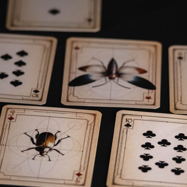 Vintage Insect Bug Playing Cards - Illustrative Poker Set Custom Deck