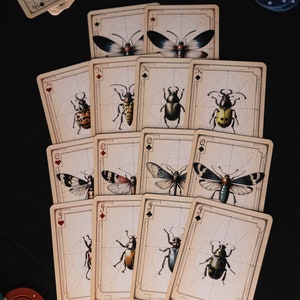 Luxe pokerspeelkaarten - vintage biologie speelkaarten met insecten, motten, insecten, vlinders