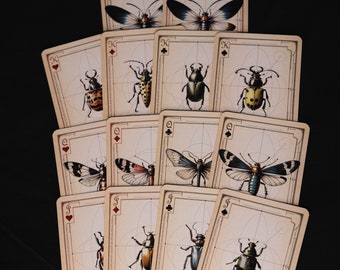 Cartes à jouer de biologie vintage : jeu de poker de luxe avec illustration d'insectes