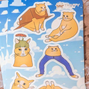 Funny Cat Meme Stickers - Silly Tiktok Ginger Cat Sticker Sheet
