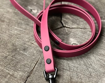 Biothane Leash - 6’