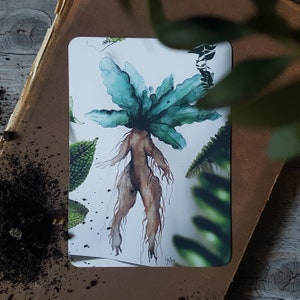 Postkarte Alraune, Kunstdruck,  Aquarell grün
