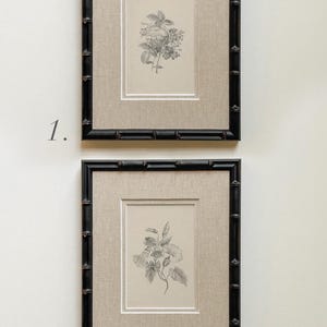 May include: Two framed botanical prints. Each print features a detailed black and white illustration of a flower. The frames are black with a bamboo-style design. The prints are set against a neutral linen-textured background. Text at the bottom reads "exclusively available at PRETTYINPRINTART.COM".
