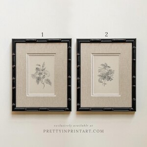 May include: Two framed botanical prints. Each print features a black bamboo-style frame, a beige linen mat, and a detailed grayscale illustration of flowers. The text "exclusively available at PRETTYINPRINTART.COM" is at the bottom.
