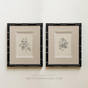 May include: Two framed botanical prints. Each print features a black bamboo-style frame, a beige linen-textured mat, and a detailed grayscale illustration of flowers. The text "exclusively available at PRETTYINPRINTART.COM" is at the bottom.