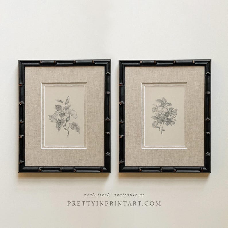May include: Two framed botanical prints. Each print features a black bamboo-style frame, a beige linen-textured mat, and a detailed grayscale illustration of flowers. The text "exclusively available at PRETTYINPRINTART.COM" is at the bottom.