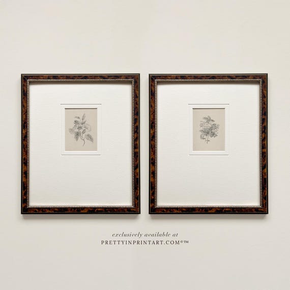 Vintage Flower Art Print | Botanical Wall Art in Antique Style Tortoise Frame with white Mount | Classic House & Garden Style Decor