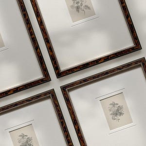 Może przedstawiać: Cztery oprawione grafiki botaniczne ze szczeg&oacute;łowymi czarno-białymi ilustracjami kwiat&oacute;w. Ramki mają wz&oacute;r skorupy ż&oacute;łwia z perełkową wewnętrzną obw&oacute;dką, na białym tle.