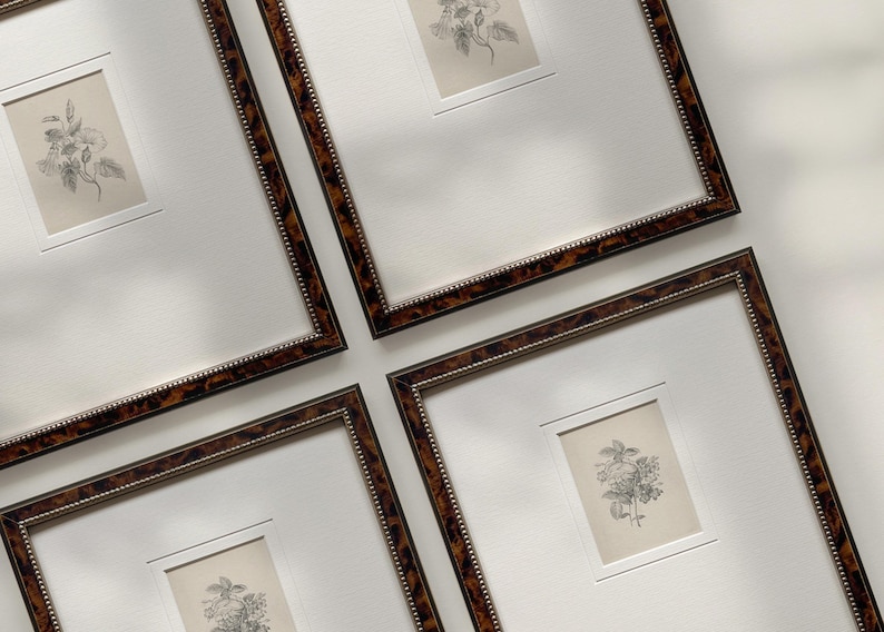 Może przedstawiać: Cztery oprawione grafiki botaniczne ze szczeg&oacute;łowymi czarno-białymi ilustracjami kwiat&oacute;w. Ramki mają wz&oacute;r skorupy ż&oacute;łwia z perełkową wewnętrzną obw&oacute;dką, na białym tle.