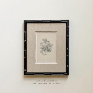 May include: A framed botanical print featuring a detailed black and white illustration of flowers and leaves. The print is set within a neutral linen mat and a black bamboo-style frame. The text "exclusively available at PRETTYINPRINTART.COM" is at the bottom.