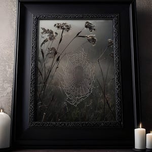 May include: A black framed photograph featuring a spider's web glistening with dew, set against a dark, atmospheric backdrop. The frame is black with an ornate design. The image creates a mysterious and natural feel.