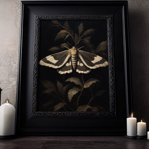 Motte Nachtfalter im Vintage Stil: Vintage Poster, Gothic Gemälde, Viktorianisches Wandbild