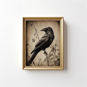 May include: A black crow perched on a branch with a sepia toned background. The crow is facing to the left and has its wings folded. The branch is bare and has small buds on it.