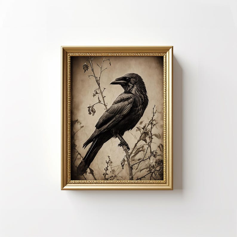 May include: A black crow perched on a branch with a sepia toned background. The crow is facing to the left and has its wings folded. The branch is bare and has small buds on it.
