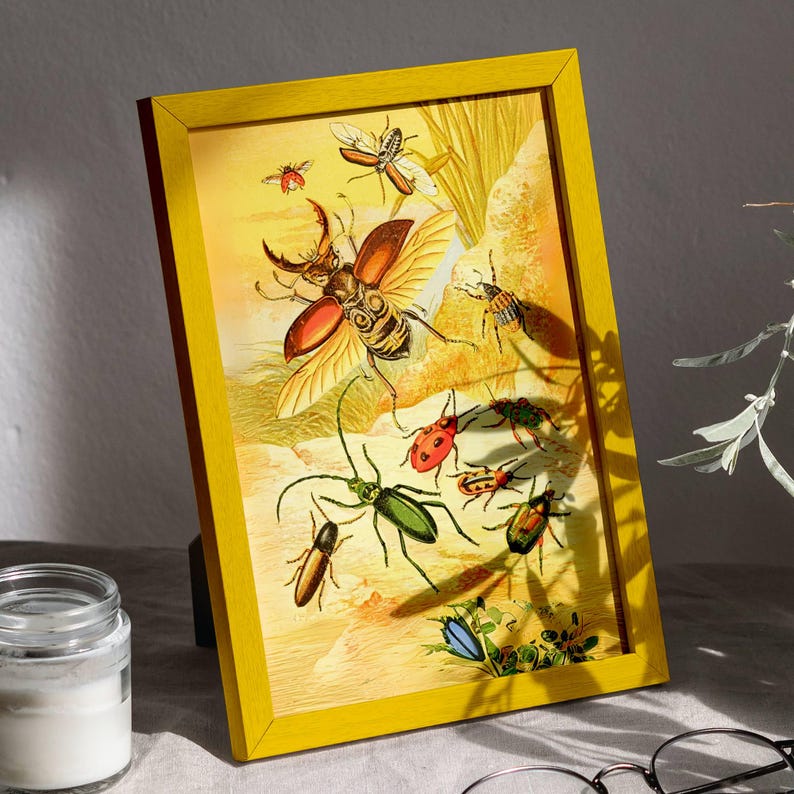 Golden Beetle Art Print: Vintage Insect Poster Entomology Art ...