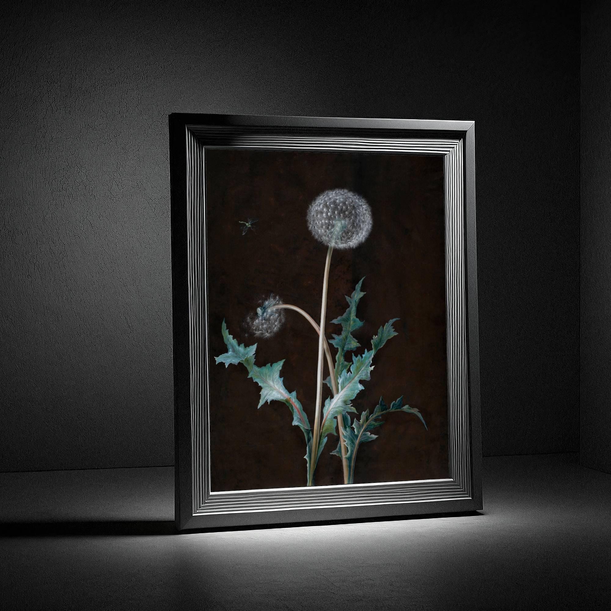 Moody Botanic Dandelion as Dark Academia Wall Decor, Vintage Dandelion ...