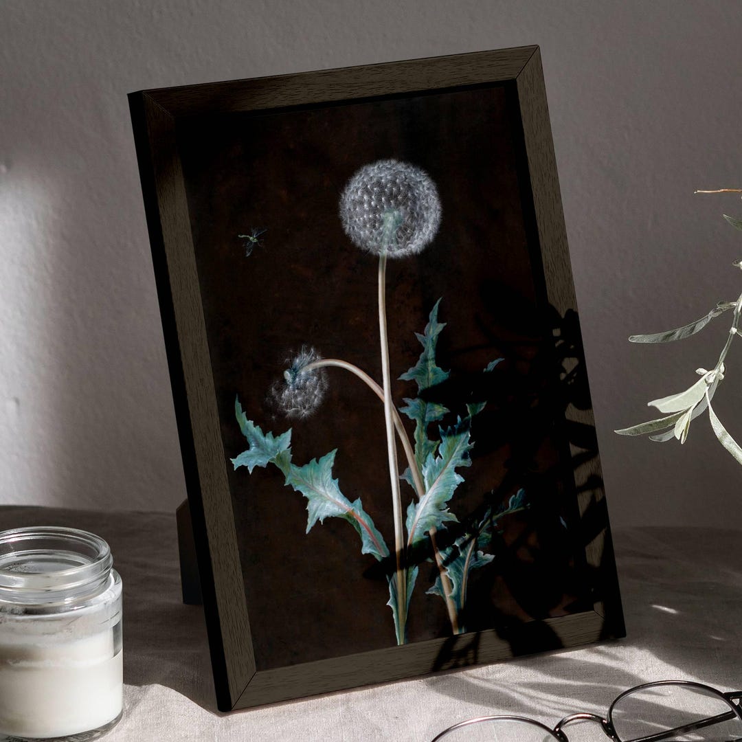 Moody Botanic Dandelion as Dark Academia Wall Decor, Vintage Dandelion ...