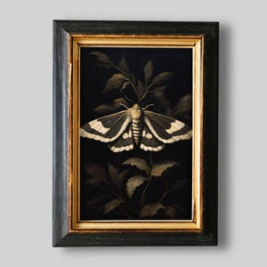 Può includere: Dipinto incorniciato di una falena con ali nere e bianche, posata su un ramo frondoso su sfondo scuro. La cornice è nera con un bordo interno dorato. L'opera d'arte è a tema naturalistico.