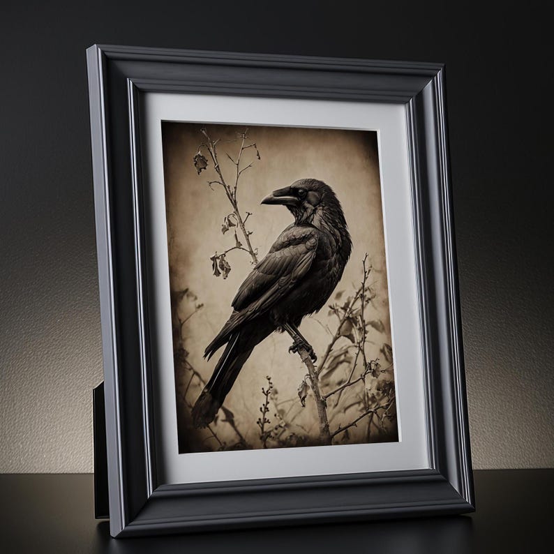 May include: A framed black and white photograph of a crow perched on a branch. The crow is facing to the right and has its wings folded. The background is a light brown color.