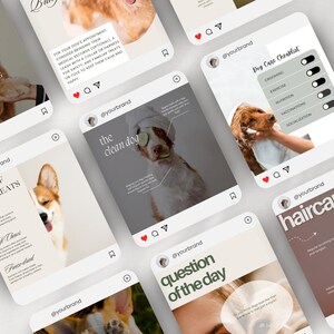 Puede incluir: Una colecci&oacute;n de publicaciones de Instagram para una marca de cuidado de perros. Las publicaciones presentan im&aacute;genes de perros y texto sobre temas relacionados con el cuidado de los perros, como los tipos de golosinas para perros, el aseo, el ejercicio, la nutrici&oacute;n, las vacunas, la socializaci&oacute;n y consejos para el cuidado del pelo. Las publicaciones est&aacute;n dise&ntilde;adas para ser visualmente atractivas e informativas.