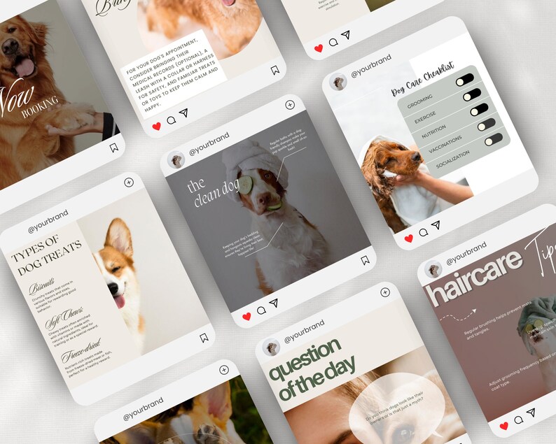 Puede incluir: Una colecci&oacute;n de publicaciones de Instagram para una marca de cuidado de perros. Las publicaciones presentan im&aacute;genes de perros y texto sobre temas relacionados con el cuidado de los perros, como los tipos de golosinas para perros, el aseo, el ejercicio, la nutrici&oacute;n, las vacunas, la socializaci&oacute;n y consejos para el cuidado del pelo. Las publicaciones est&aacute;n dise&ntilde;adas para ser visualmente atractivas e informativas.