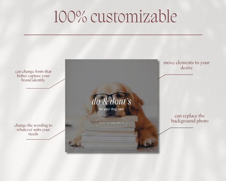 Puede incluir: Un perro golden retriever con gafas tumbado sobre una pila de libros. El texto "do & don't's for your dog care" est&aacute; por encima del perro. El texto "swipe to find out..." est&aacute; debajo del perro.