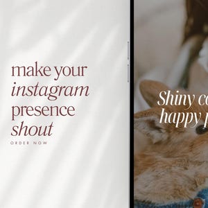 May include: The image is split, with text on the left and a pet on the right. The text reads "make your instagram presence shout" and "ORDER NOW" in a serif font. The right side shows a pet with the text "Shiny coat, happy pet."