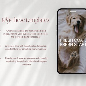 May include: A smartphone displays a golden retriever puppy yawning on a white background, with the text "FRESH COAT, FRESH START." The phone is set against a light background with text that reads "Why these templates."