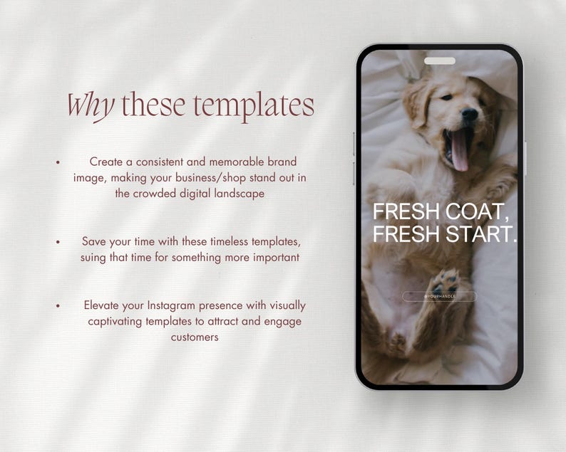 May include: A smartphone displays a golden retriever puppy yawning on a white background, with the text "FRESH COAT, FRESH START." The phone is set against a light background with text that reads "Why these templates."