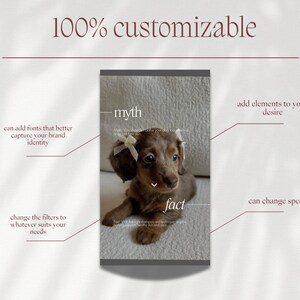 May include: A brown dachshund puppy with white bows on its ears is featured in a vertical image. Text overlay includes "100% customizable," "myth," and "fact," along with descriptions of customization options like fonts, elements, filters, and speed.