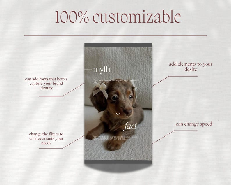 May include: A brown dachshund puppy with white bows on its ears is featured in a vertical image. Text overlay includes "100% customizable," "myth," and "fact," along with descriptions of customization options like fonts, elements, filters, and speed.
