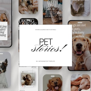 100+ Pets & Animal Instagram Stories Templates, Editable Canva Reel Covers, Dog Cat Pet Lover, Vet Social Media Branding,Editable Canva Post