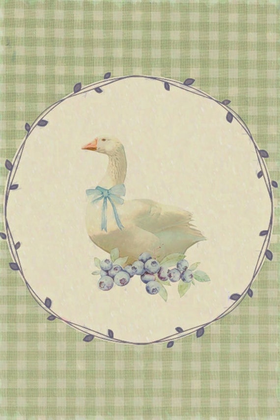【OHOTORO】Heritage Gingham Duck Down heritage duck down | OHOTORO