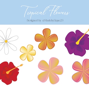 Tropical Flower Vector File (Plumeria, Tiare, Hibiscus)