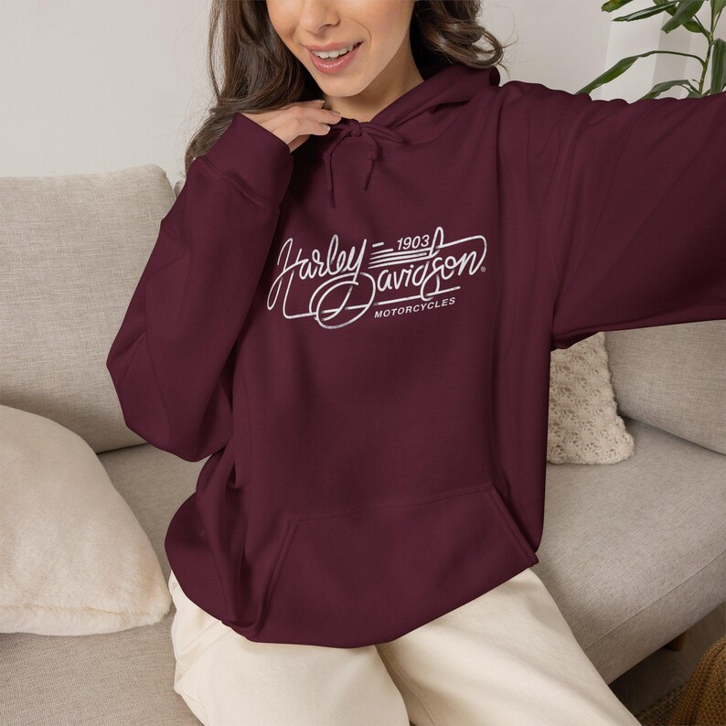 Harley Davidson fans, motorcycle riders, Vintage Motorcycle Hoodie | Harley-Davidson Script Logo image 12