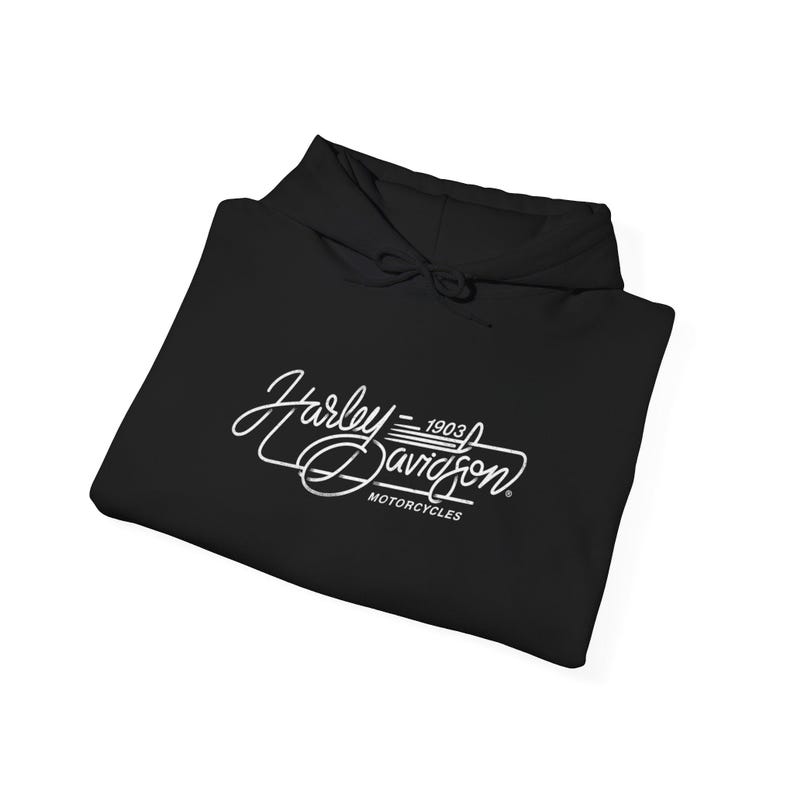 Harley Davidson fans, motorcycle riders, Vintage Motorcycle Hoodie | Harley-Davidson Script Logo image 19