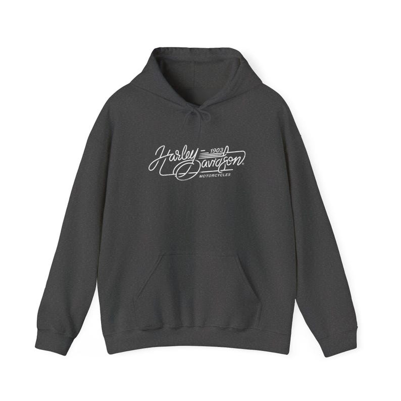 Harley Davidson fans, motorcycle riders, Vintage Motorcycle Hoodie | Harley-Davidson Script Logo image 16