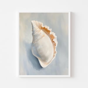 May include: A framed print of a seashell. The shell is a creamy white color with a spiral shape and a ruffled edge. The background is a soft blue and gray, creating a serene and coastal aesthetic.