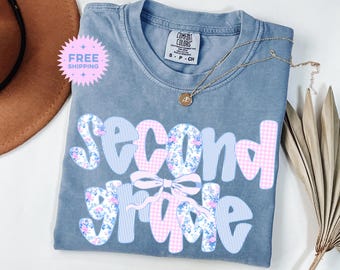 Preppy Second Grade Teacher Shirt, Comfort Colors Team Tee