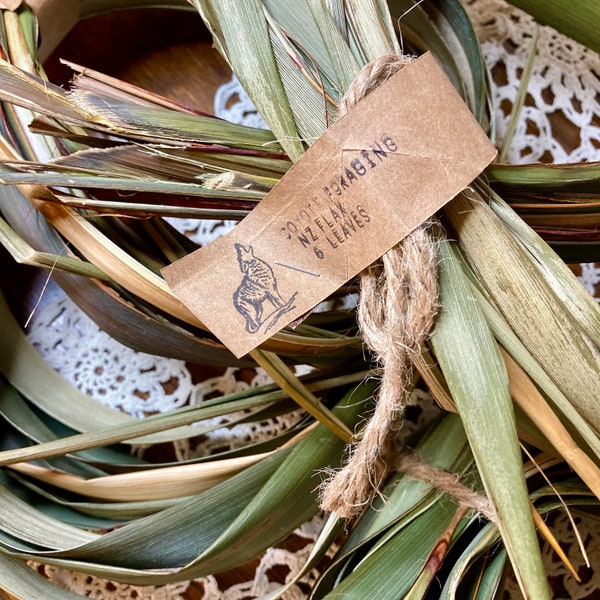 New Zealand Flax leaves for basket making, bushcraft, cordage, nature crafts and floral arrangements aka harakeke, phormium tenax