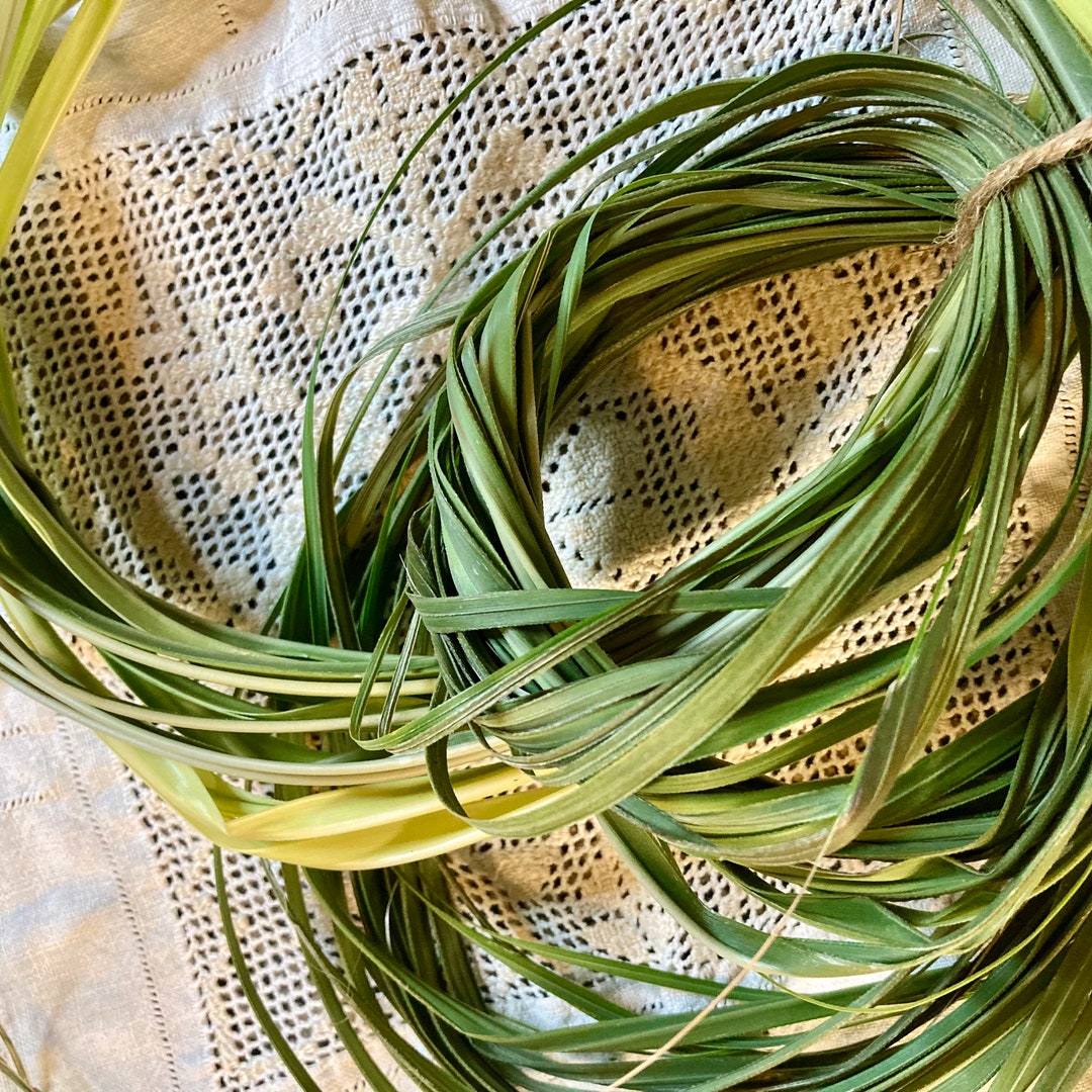 Pampas Grass for Basket Weaving/fiber Arts/eco Art/floral Arrangement Cortaderia Selloana Etsy