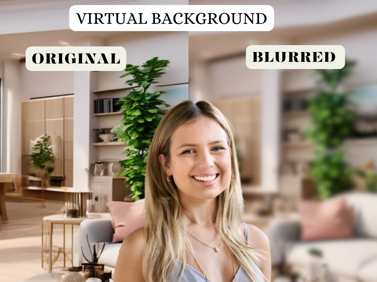 Virtual Background Zoom Background Home Office Background Living Room